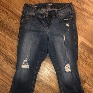 Torrid stiletto jegging